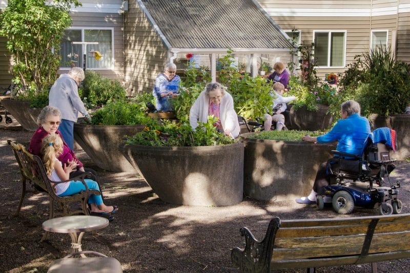 assisted living and digital marketing